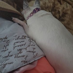 Meet your Posher, Caey